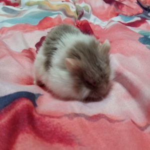 Meet your Posher, Kendra